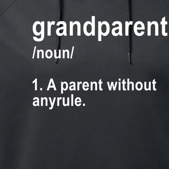 Grandparents A Parent Without Any Rules Performance Fleece Hoodie