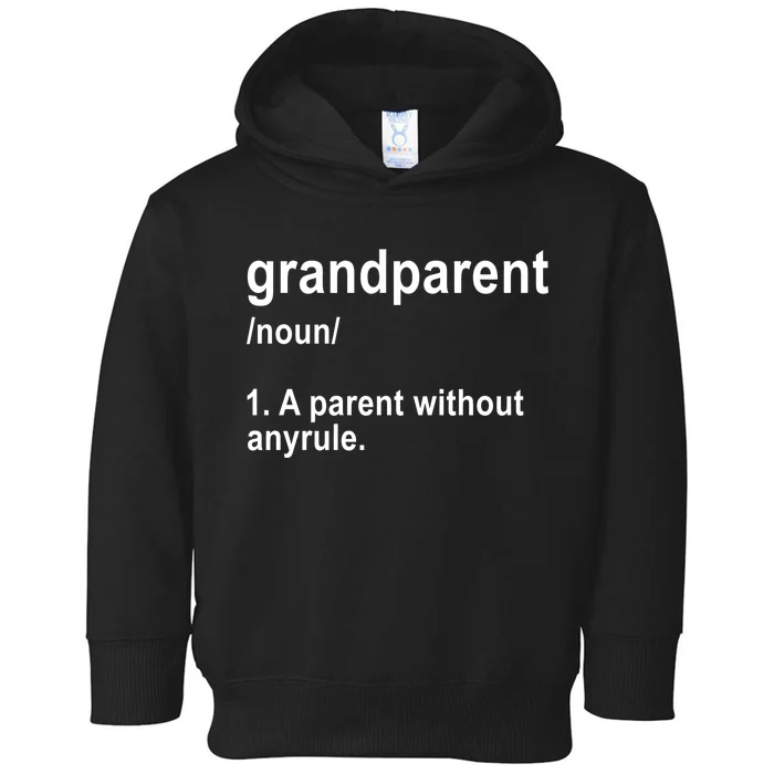 Grandparents A Parent Without Any Rules Toddler Hoodie