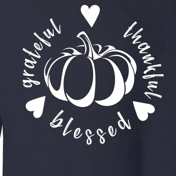 Grateful Faithful Blessed Toddler Sweatshirt