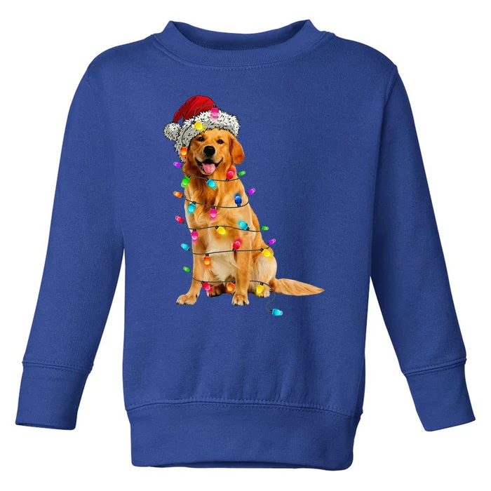 Golden Retrievers Christmas Lights Hat Santa Dog Lover Toddler Sweatshirt