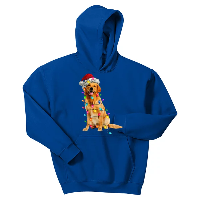 Golden Retrievers Christmas Lights Hat Santa Dog Lover Kids Hoodie