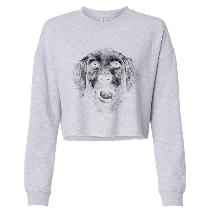 Golden Retriever Dog Cropped Pullover Crew