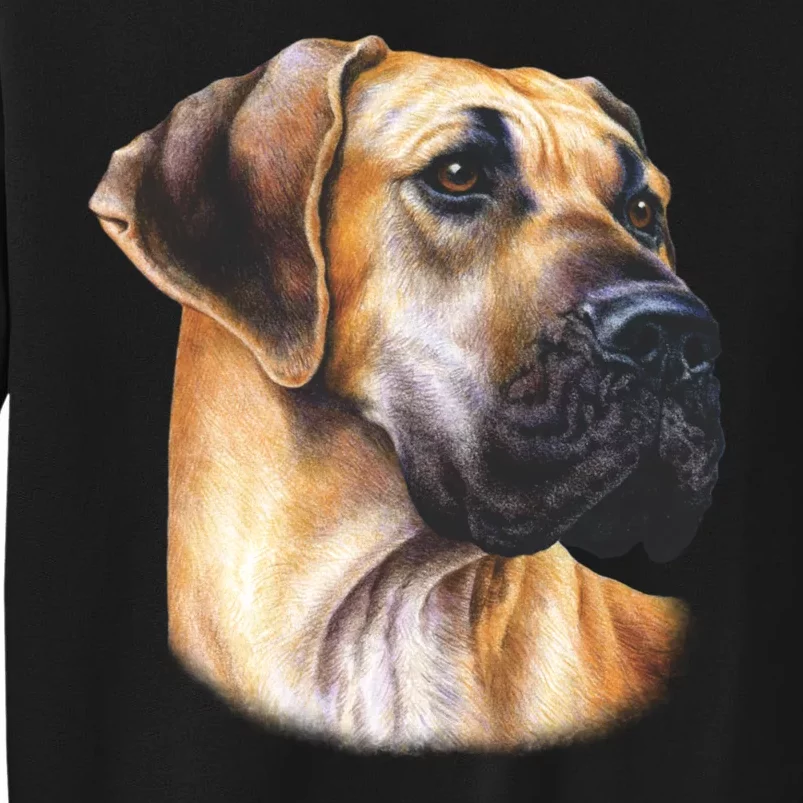 Great Dane Face Tall Sweatshirt