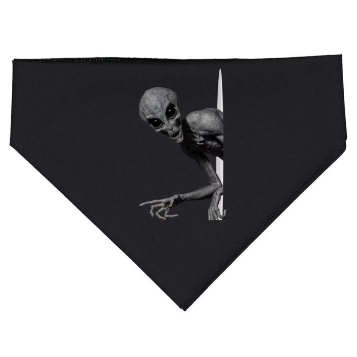 Grey Alien Peaking  Area 51 UFO Abduction USA-Made Doggie Bandana