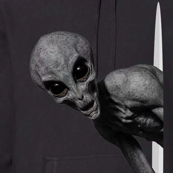 Grey Alien Peaking  Area 51 UFO Abduction Premium Hoodie