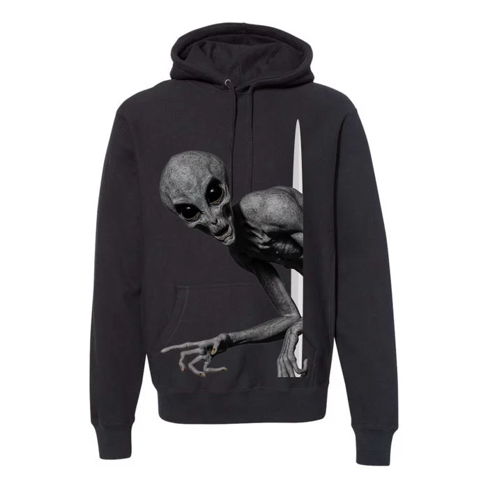 Grey Alien Peaking  Area 51 UFO Abduction Premium Hoodie