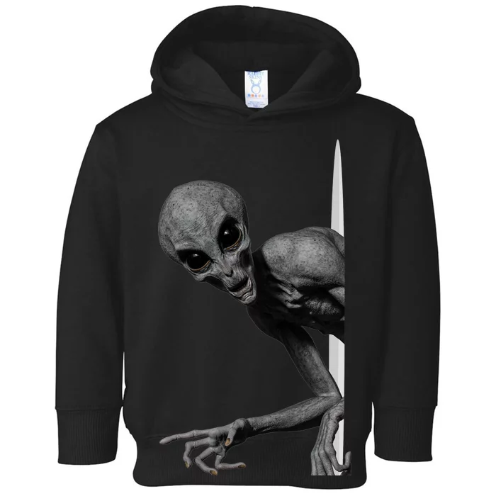 Grey Alien Peaking  Area 51 UFO Abduction Toddler Hoodie