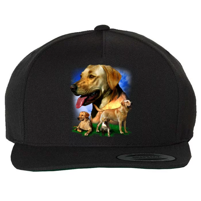 Golden Retriever Family Of Dogs Portrait Wool Snapback Cap