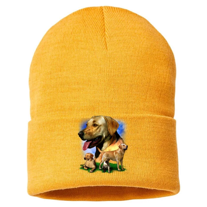 Golden Retriever Family Of Dogs Portrait Sustainable Knit Beanie