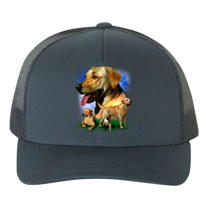 Golden Retriever Family Of Dogs Portrait Yupoong Adult 5-Panel Trucker Hat