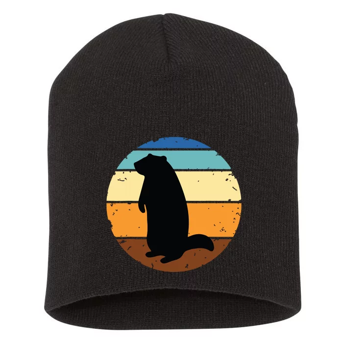 Groundhog Retro Funny Woodchuck Groundhog Day Short Acrylic Beanie