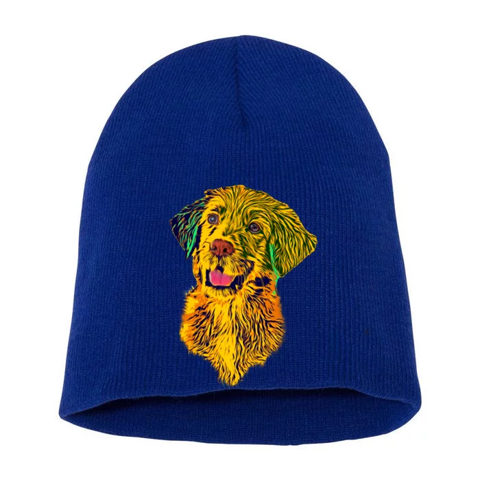 Golden Retriever Gorgeous Pet Dog Lover Gift Short Acrylic Beanie