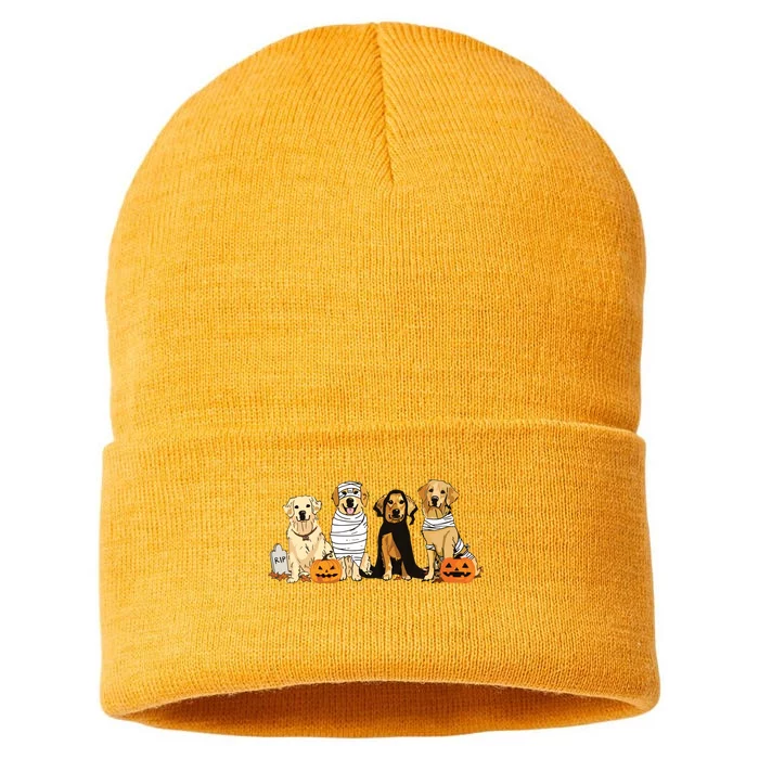 Golden Retriever Ghost Dog Halloween Golden Retriever Witch Vneck Sustainable Knit Beanie