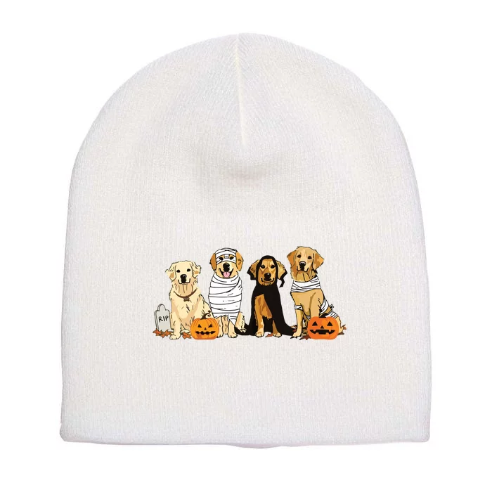 Golden Retriever Ghost Dog Halloween Golden Retriever Witch Vneck Short Acrylic Beanie