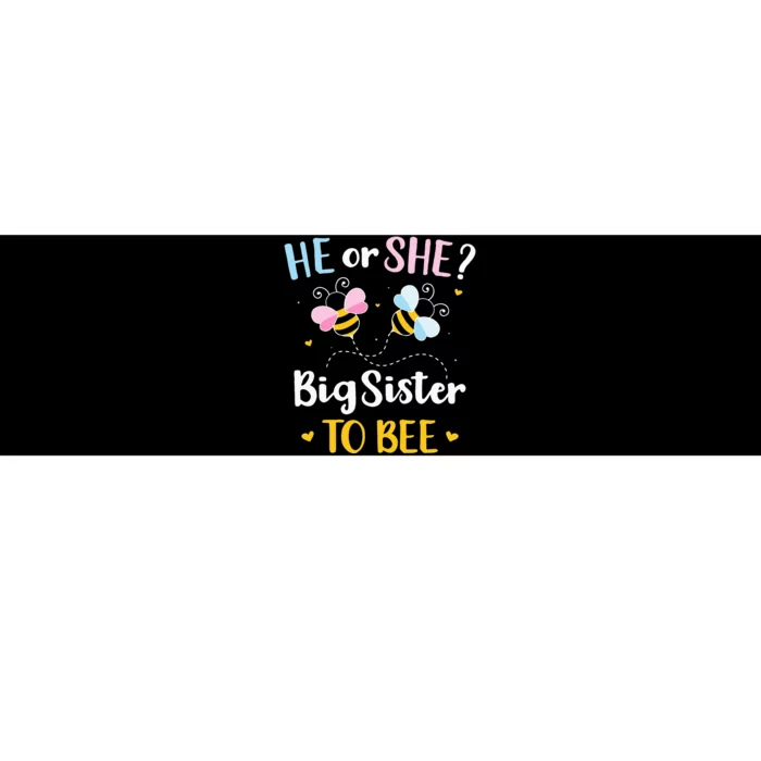 Gender reveal he or she sister matching baby party Bumper Sticker