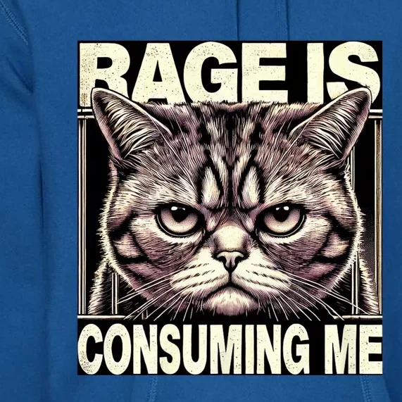 Graphic Rage Is Consuming Me Funny Cat Meme Premium Hoodie