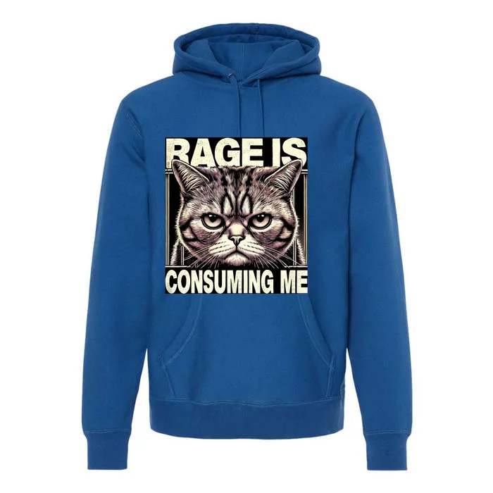 Graphic Rage Is Consuming Me Funny Cat Meme Premium Hoodie