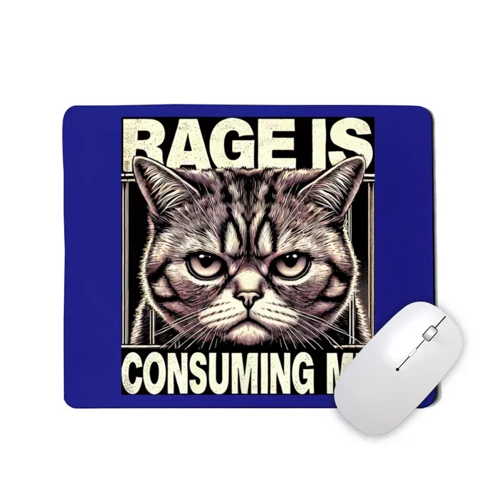 Graphic Rage Is Consuming Me Funny Cat Meme Mousepad