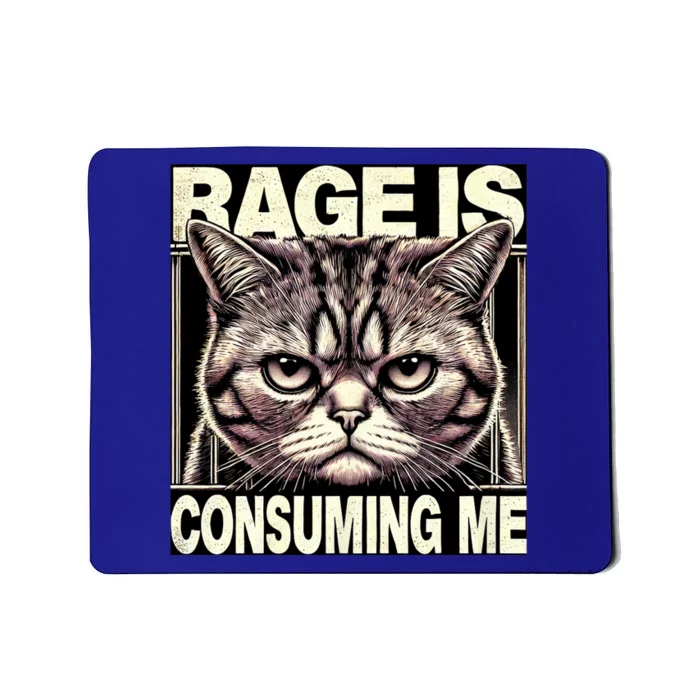 Graphic Rage Is Consuming Me Funny Cat Meme Mousepad