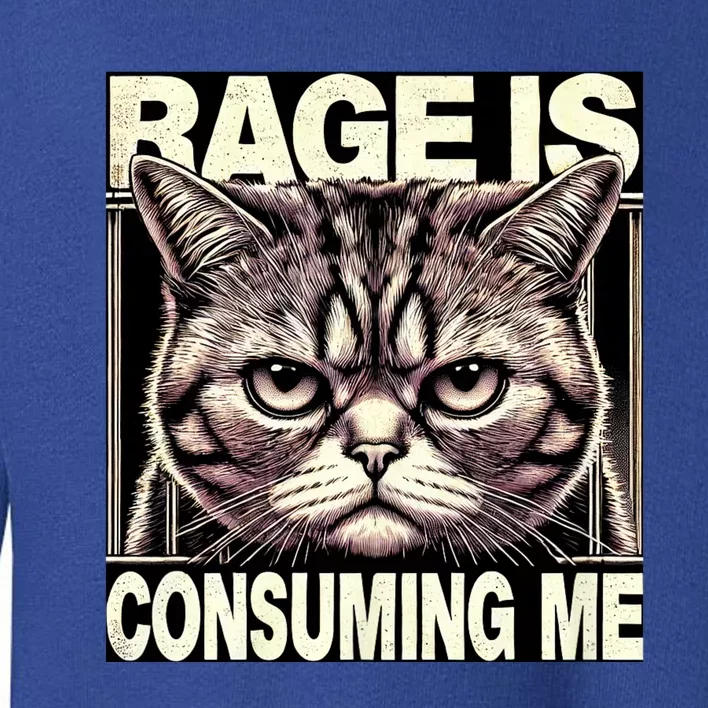 Graphic Rage Is Consuming Me Funny Cat Meme Toddler Sweatshirt