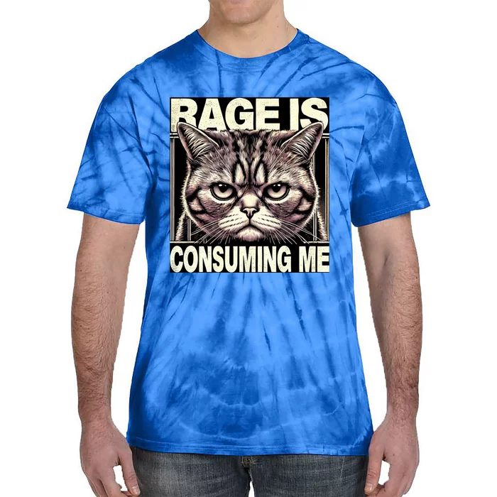 Graphic Rage Is Consuming Me Funny Cat Meme Tie-Dye T-Shirt