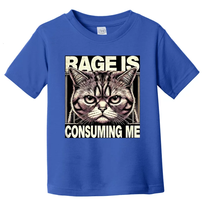 Graphic Rage Is Consuming Me Funny Cat Meme Toddler T-Shirt