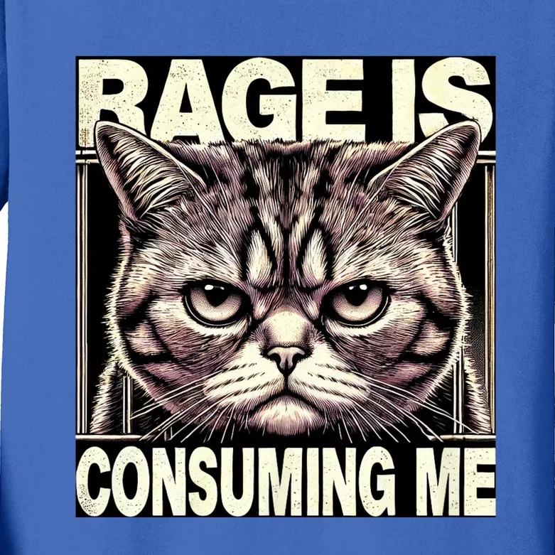 Graphic Rage Is Consuming Me Funny Cat Meme Kids Long Sleeve Shirt