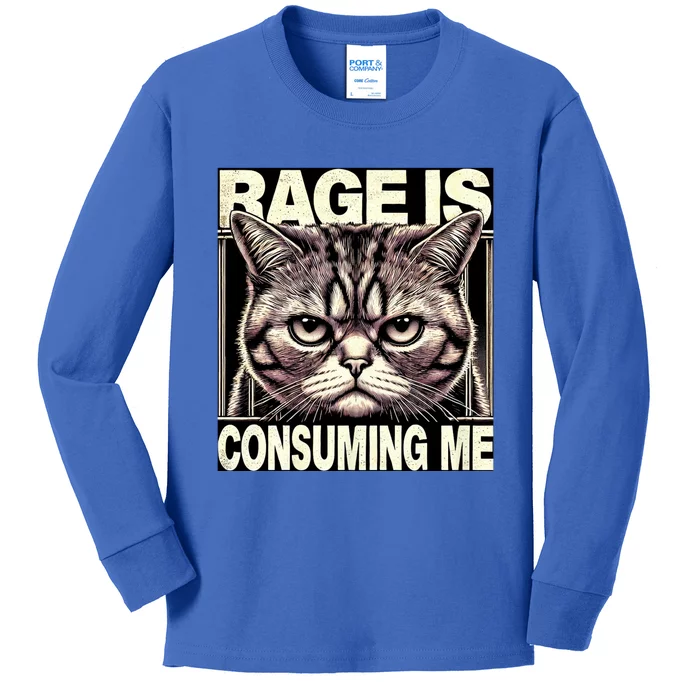 Graphic Rage Is Consuming Me Funny Cat Meme Kids Long Sleeve Shirt