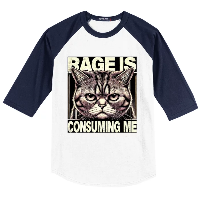 Graphic Rage Is Consuming Me Funny Cat Meme Baseball Sleeve Shirt