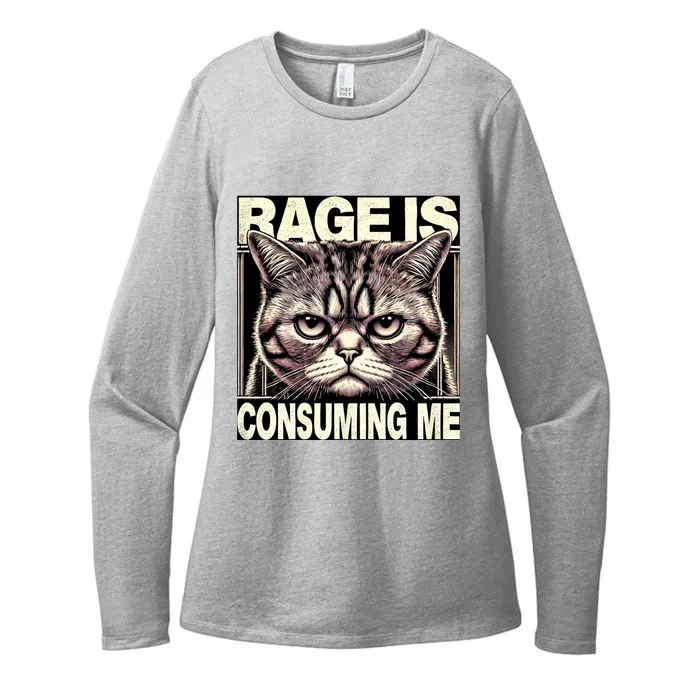 Graphic Rage Is Consuming Me Funny Cat Meme Womens CVC Long Sleeve Shirt