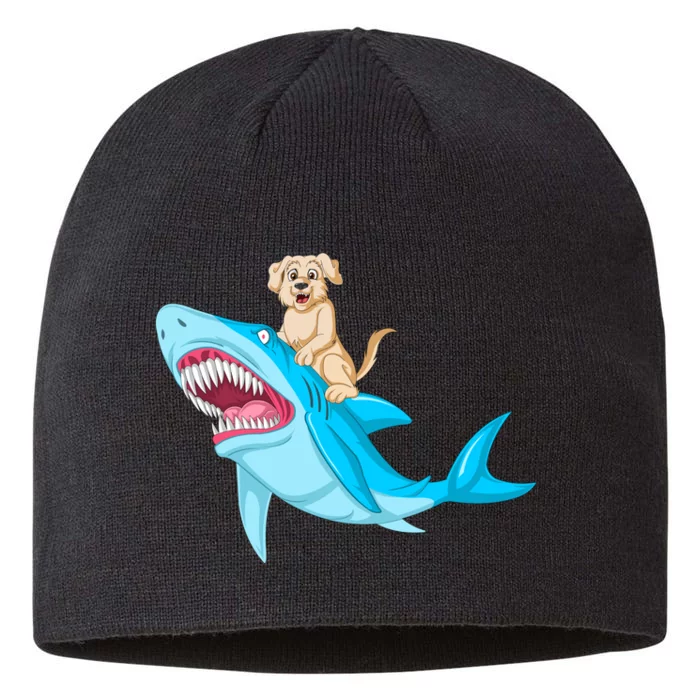 Golden Retriver Riding Shark 8 1/2in Sustainable Knit Beanie