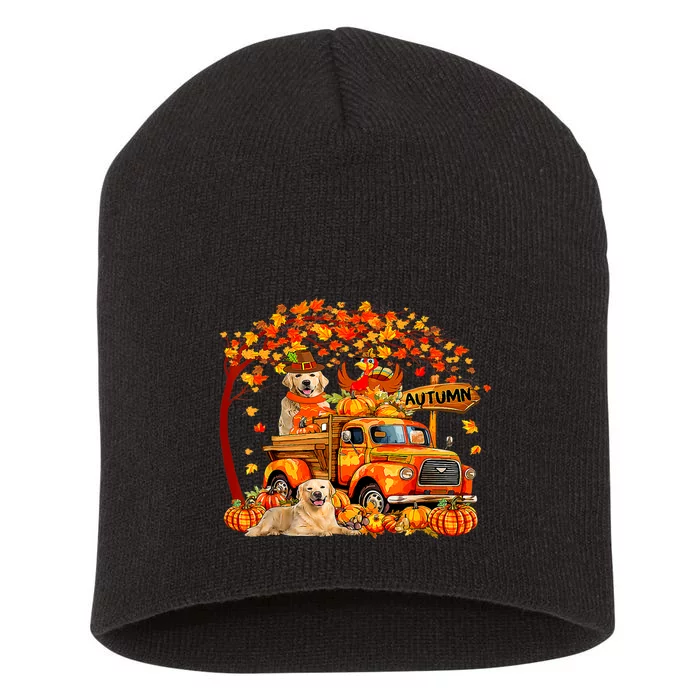 Golden Retriever Turkey On Pickup Truck Thanksgiving Short Acrylic Beanie