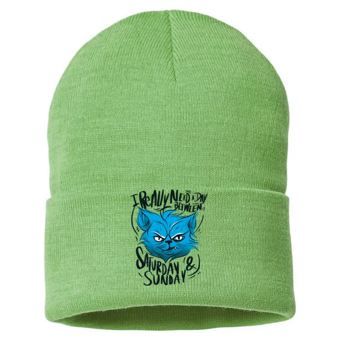 Grumpy Cat Weekend Funny Sustainable Knit Beanie