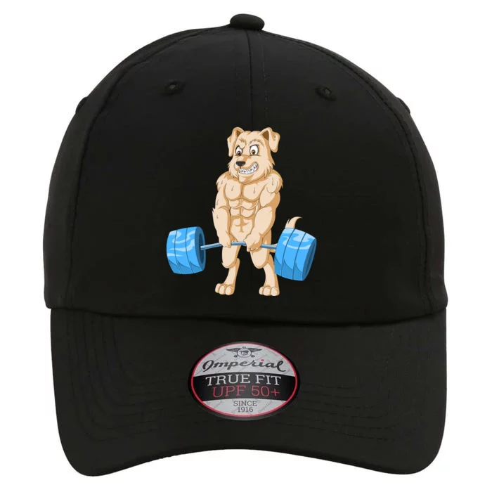 Golden Retriver Weightlifting The Original Performance Cap