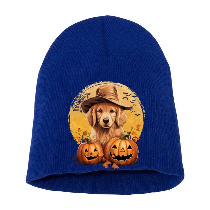 Golden Retriever Witch Howloween Pawsome Pumpkin Halloween Meaningful Gift Short Acrylic Beanie