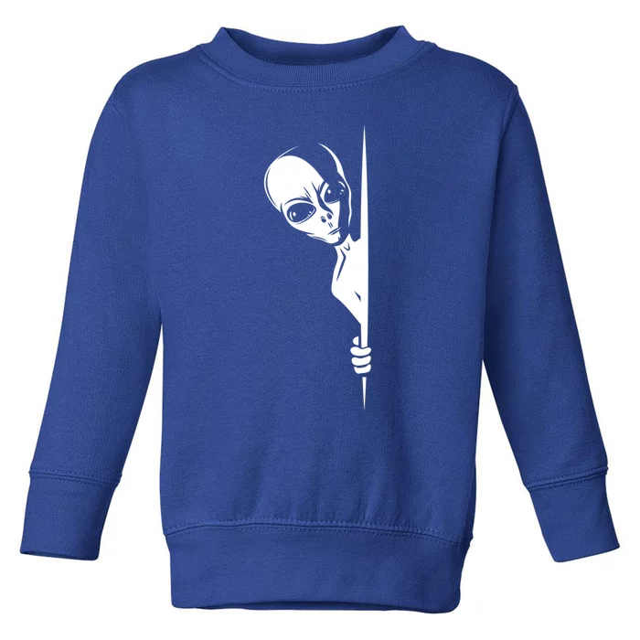 Graphic Staring Alien Ufo Science Fiction Funny Scary Gift Toddler Sweatshirt