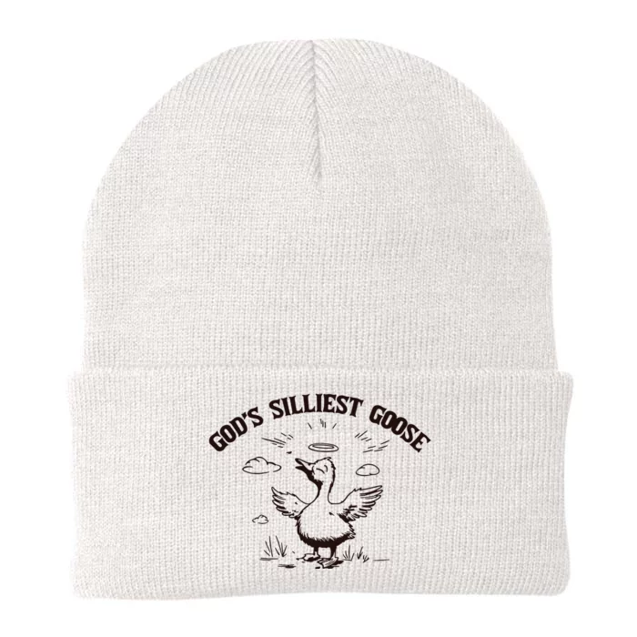 Gods Silliest Goose Funny Goose Sarcastic Vintage Knit Cap Winter Beanie