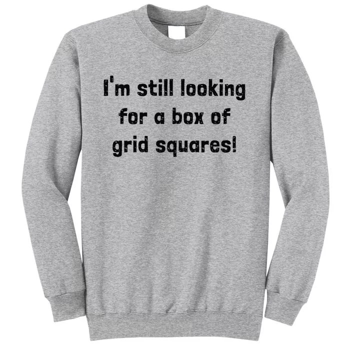 Grid Squares Tall Sweatshirt