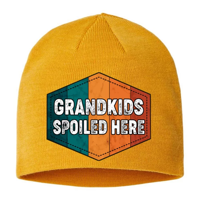 Grandkids Spoiled Here 8 1/2in Sustainable Knit Beanie