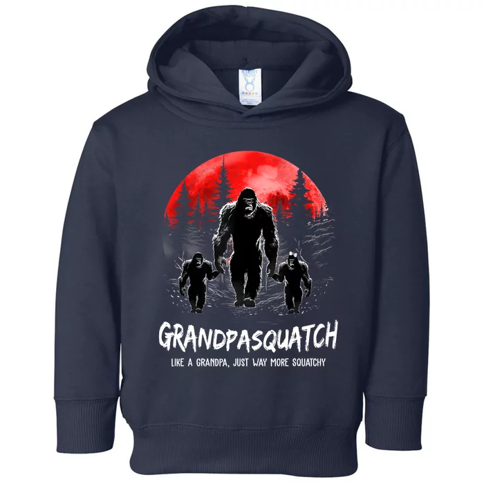 Grandpa Squatch Like A Grandpa Just Way More Squatchy Funny Toddler Hoodie