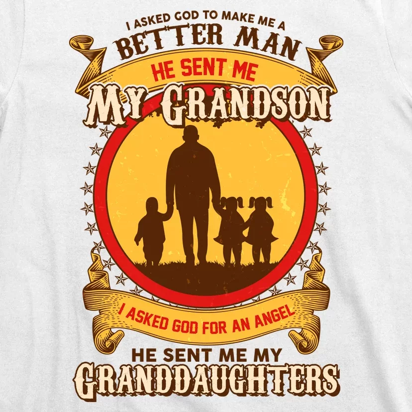 God Sent Me My Grandson And Granddaughters T-Shirt