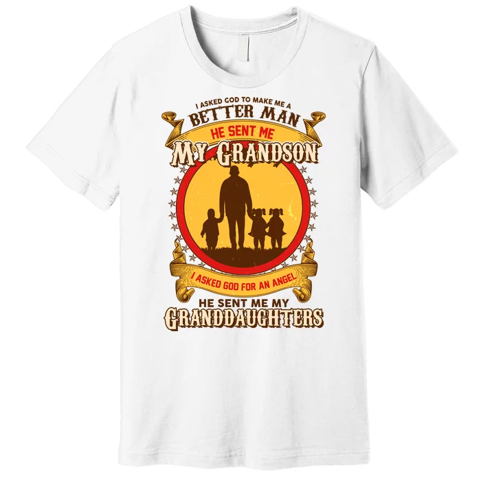 God Sent Me My Grandson And Granddaughters Premium T-Shirt