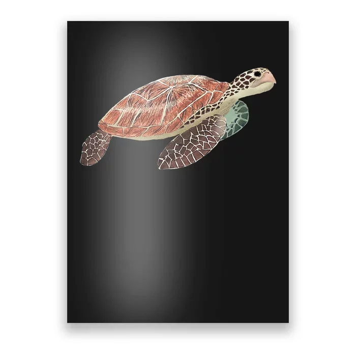 Green Sea Turtle Poster