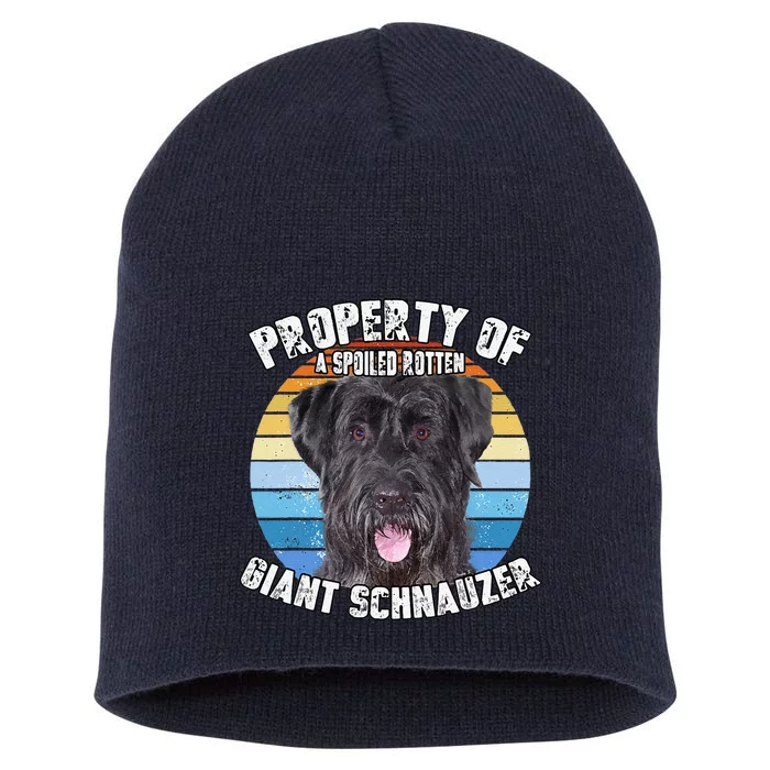 Giant Schnauzer Uncropped Retro Property Of Cute Dog Short Acrylic Beanie