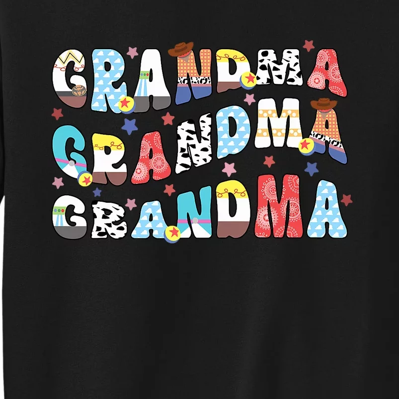 Grandma Toy Birthday Boy Story Family Matching Birthday Boy Tall Sweatshirt