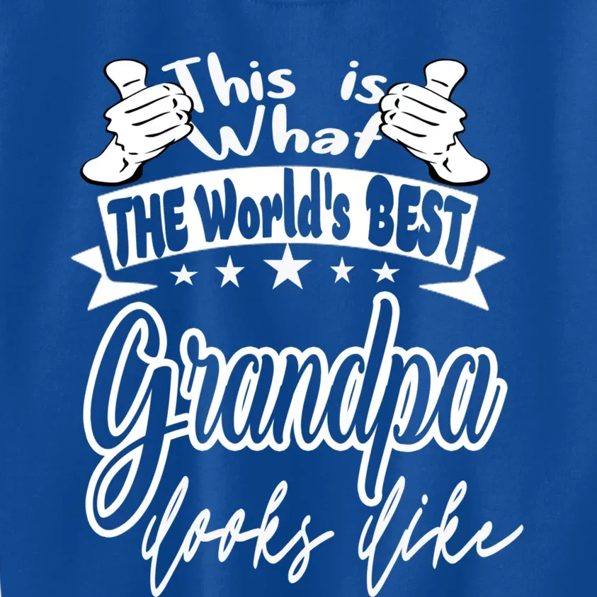 Grandpa This Is World's Best Grandpa Looks Like Cool Gift Kids Sweatshirt