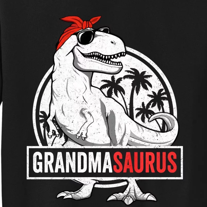 Grandmasaurus T Rex Dinosaur Grandma Saurus Family Matching Long Sleeve Sweatshirt