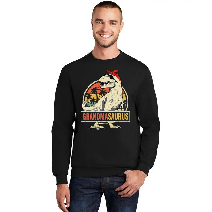 Grandmasaurus T Rex Dinosaur Grandma Saurus Family Matching Tall Sweatshirt