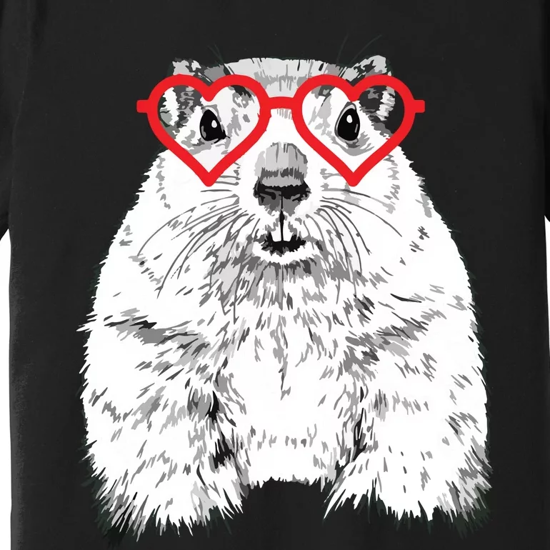 Groundhog Valentines Day Animal Lovers Premium T-Shirt