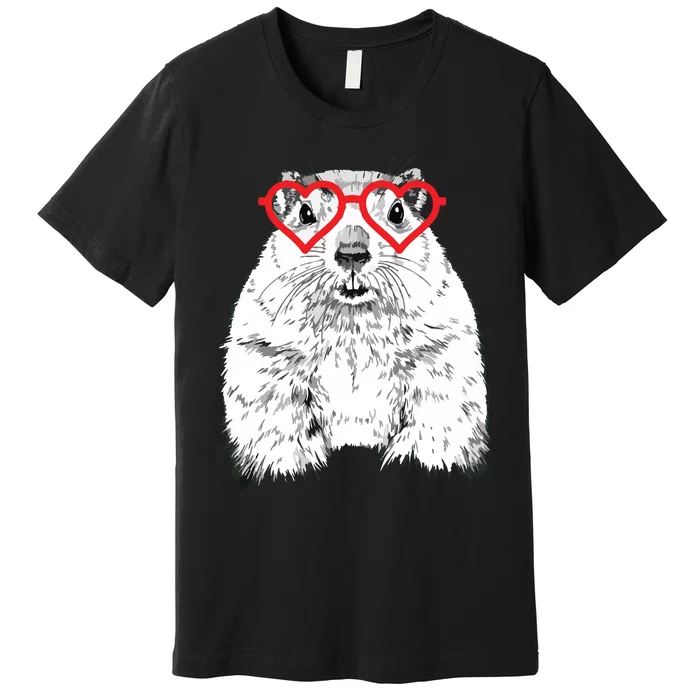 Groundhog Valentines Day Animal Lovers Premium T-Shirt